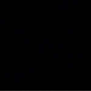 Meet your Posher, Talan